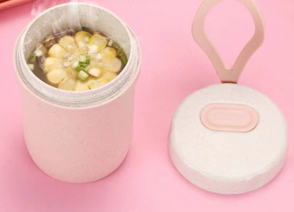 Bento Microwave Heated Lunch Box