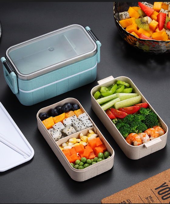 Bento Microwave Heated Lunch Box