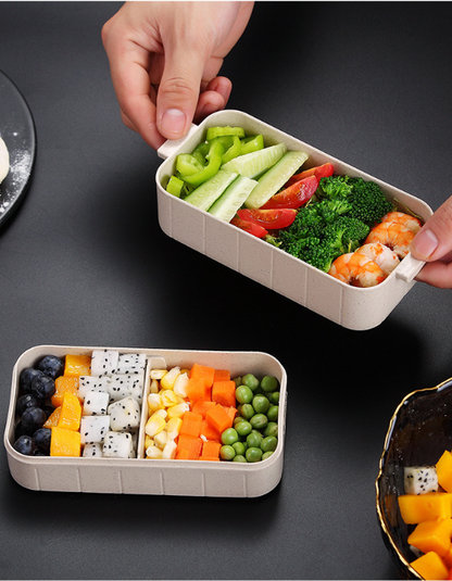 Bento Microwave Heated Lunch Box